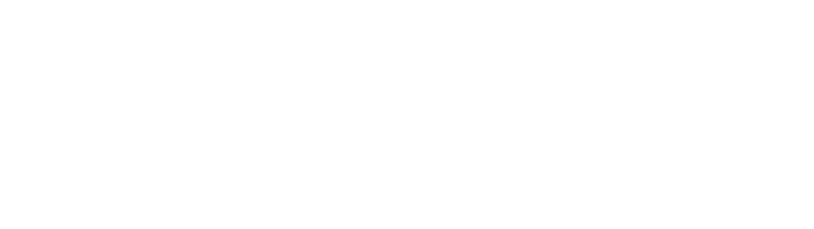 Parcel Plan